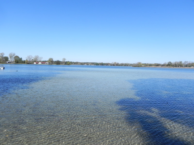 Real Estate Bass Lake Homes For Sale Hamburg Twp Michigan